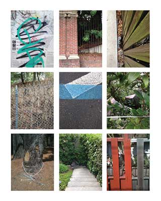 A grid photograph based on the definition of the word, engram, coined by the biologist, Richard Semon