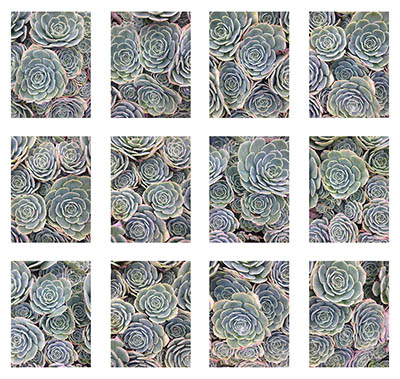 Elements of the Set is a single image made to create a single or mulitiple viewing experience