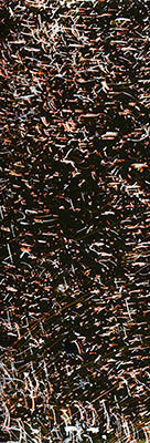 A photograph made from the emulsion of film that has been marred and modified